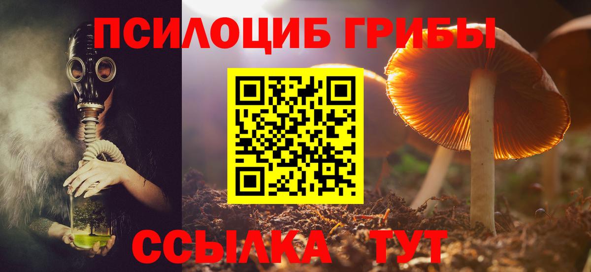 Псилоцибиновые грибы мицелий  Вход с VPN  Галлюциногенные грибы Psilocybe  Полысаево 